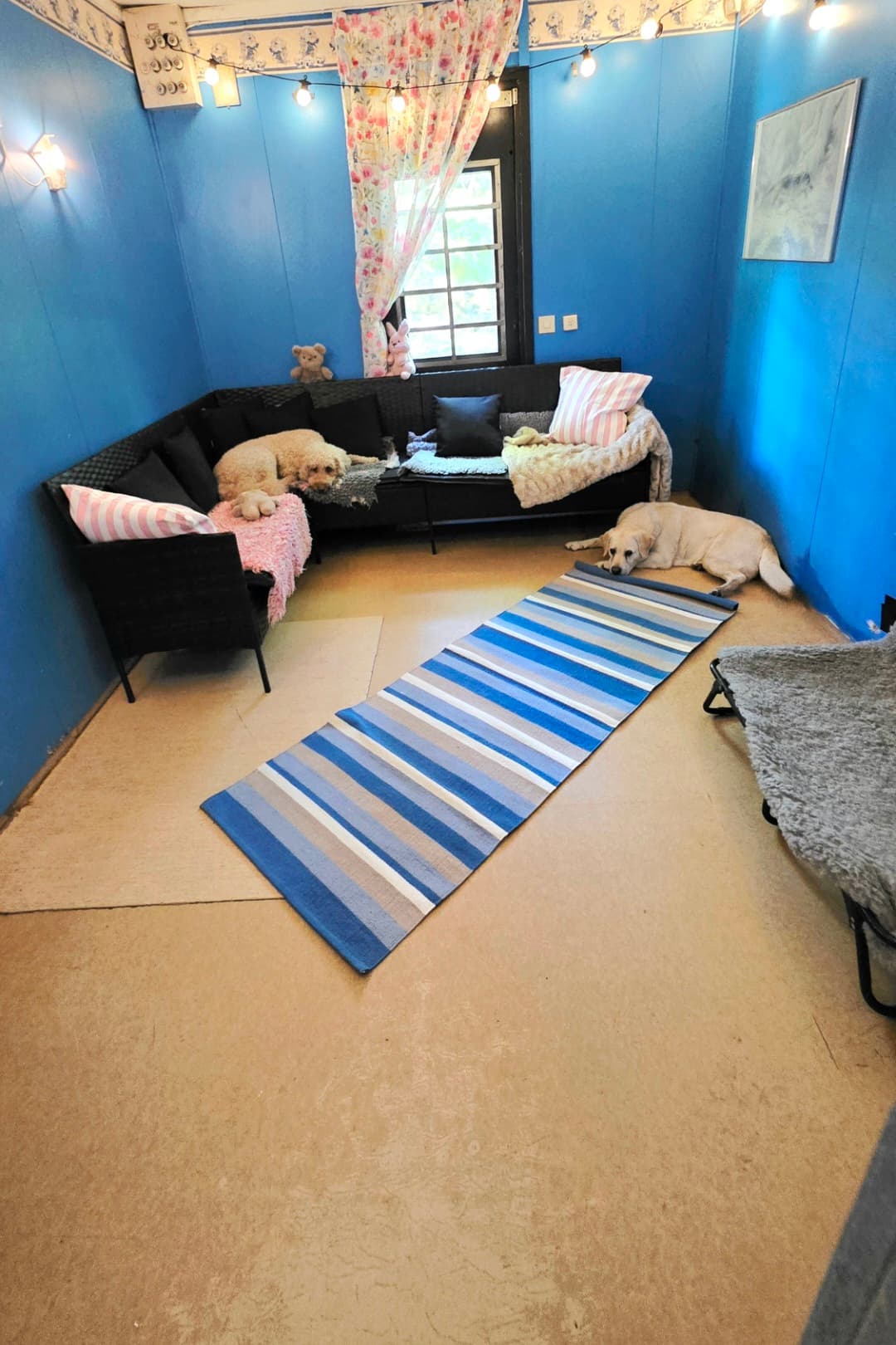 Bild från Nacka Hunddagis