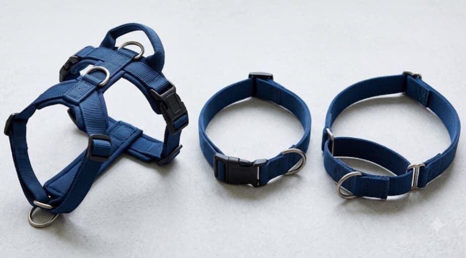 Sele eller halsband,vad är egentligen bäst?
